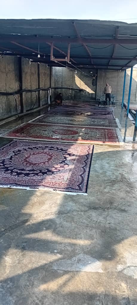 شستشوی انواع خوشخواب در پرند 